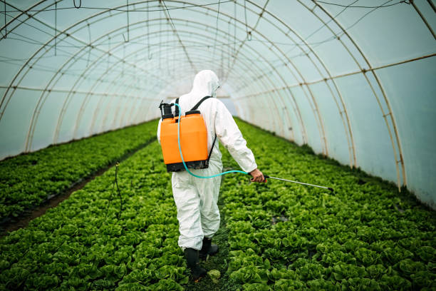 Best Commercial Pest Control Services  in Bryant, WA