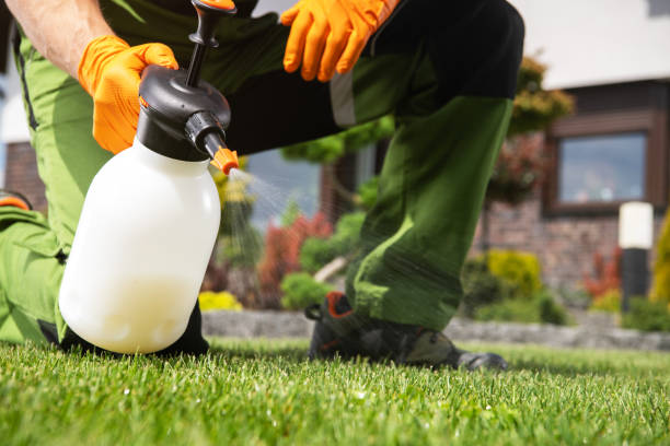 Best Pest Control Near Me  in Bryant, WA