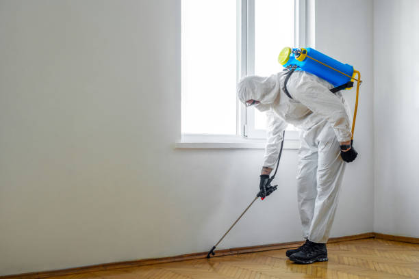 Best Insect Control  in Bryant, WA