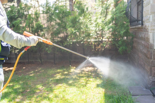 Best Wasp Removal Services  in Bryant, WA