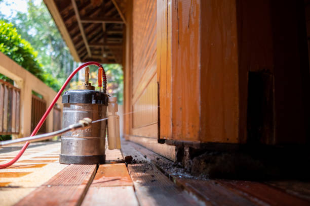Best Affordable Pest Control Services  in Bryant, WA