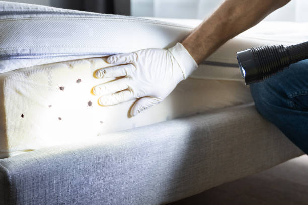  Bryant, WA Pest Control Pros