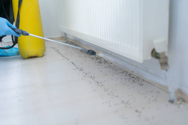 Trusted Bryant, WA Pest Control Experts