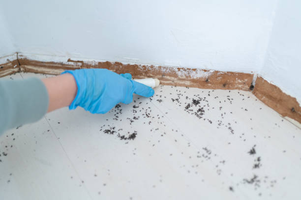 Best Wildlife Control Services  in Bryant, WA