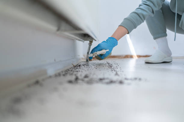 Best Pest Inspection Near Me  in Bryant, WA