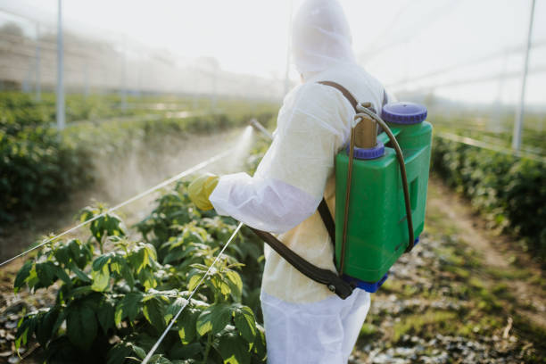 Best Emergency Pest Control  in Bryant, WA
